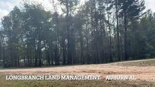 TIME LAPSE FORESTRY MULCHING