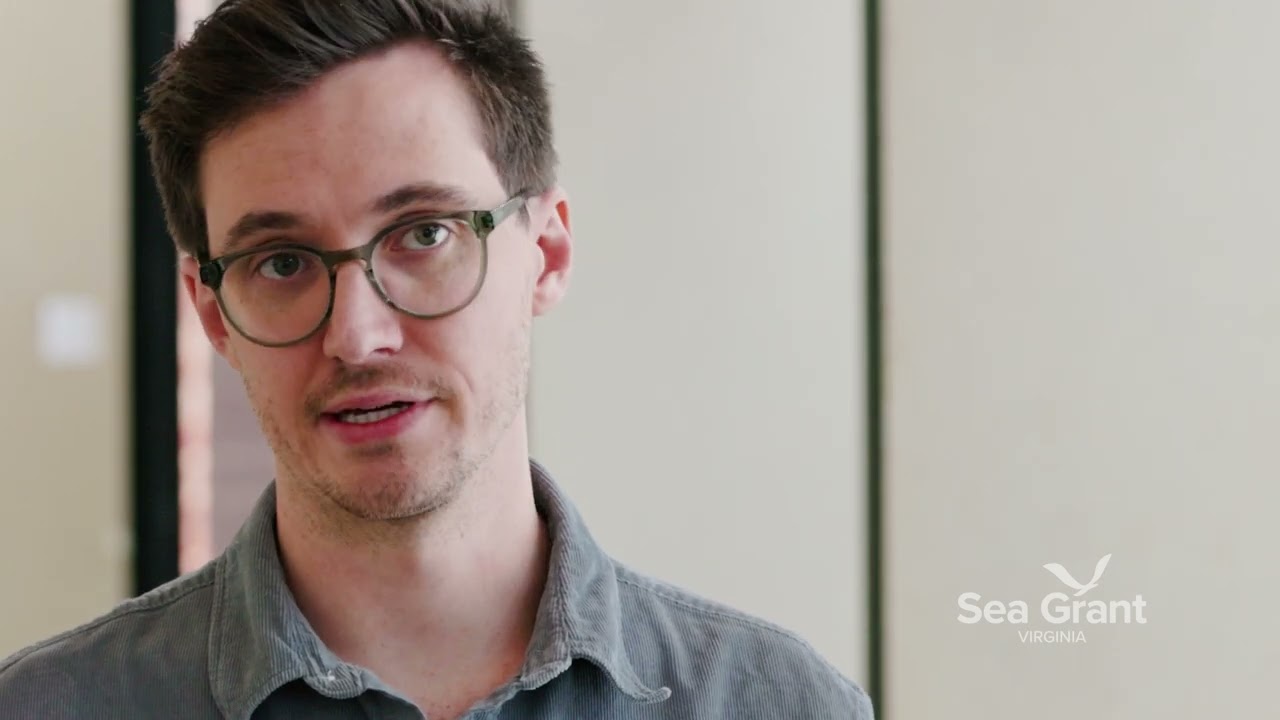 Virginia Sea Grant wants to fight saltwater inundation with landscape architecture.