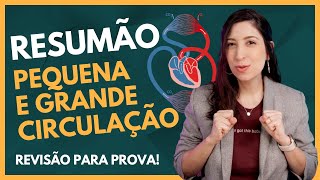 RESUMÃO PEQUENA E GRANDE CIRCULAÇÃO !