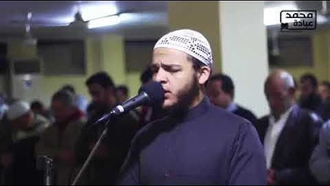 سورة الحشر محمد عبادة