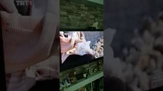 Tuttum Seğniii Attım Içeri