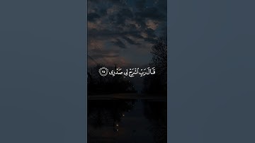 قَالَ رَبِّ اشْرَحْ لِي صَدْرِي || سورة طه #علاء_عقل 🤍🌱