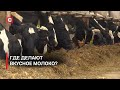 Модернизировали ферму по указу Президента! | Сельское хозяйство в Беларуси