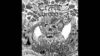 Cryptic Brood - Wormhead