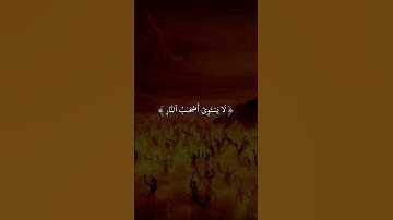 #اكتب_شي_تؤجر_عليه #القرآن_الكريم #تلاوة_خاشعة #الشيخ_ياسر_الدوسري #الشيخ_عثمان_الخميس #يوسف_الصقير