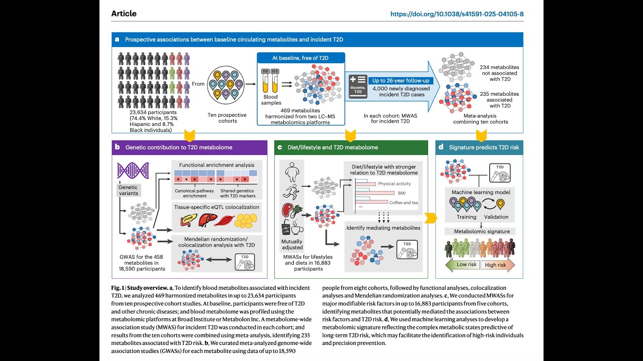 AI Based Prediction of Type 2 Diabetes Risk