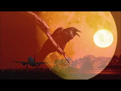 The Longer I Run with lyrics - Peter Bradley Adams - Music & Lyrics
