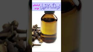 Clove Oil Benefits In Urdu Hindi Long Ke Tail Ke Fayde Long Ka Oil Use Krne Ke Tibbi Fawaid.