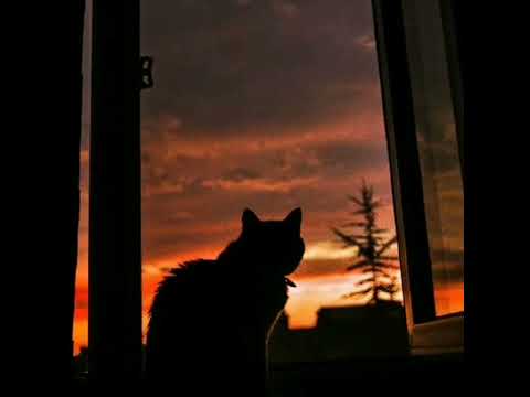 King CAAN ft. James Ty - Silence [slowed]