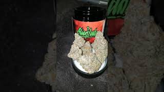 👽👽👽GELATO 41 ALIEN LABS STRAIN 🛸🛸🛸