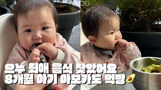 으누 최애 음식 아보카도 먹는 영상🥑 | 8개월 아기 | VLOG