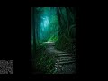 Dark forest Anahata Kingdom Blasterz Records Anahata Sylvas Nymphae Dj Set