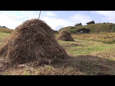 „ხალხი გათავდა“ – ერთი თუშის ამბავი