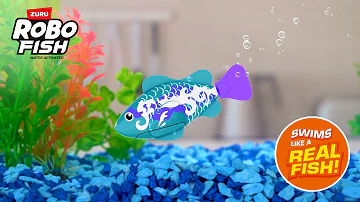 The iconic Robo Fish is back with all new designs and fish to collect.
