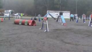 Varkaus 11.9.2016  B-rata Almur by Jutta Pyörre 41 views 7 years ago 48 seconds