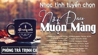 Phòng Trà Trịnh Ca