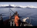 Commercial fishing for halibut in Alaska
