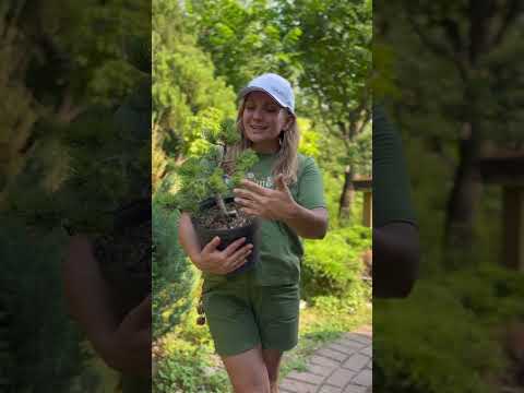 Почему я обучаюсь