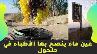 شاهد: عين ماء يوصي بها الاطباء في مدينة حلحول - عين كسبر- محافظة الخليل - فلسطين
