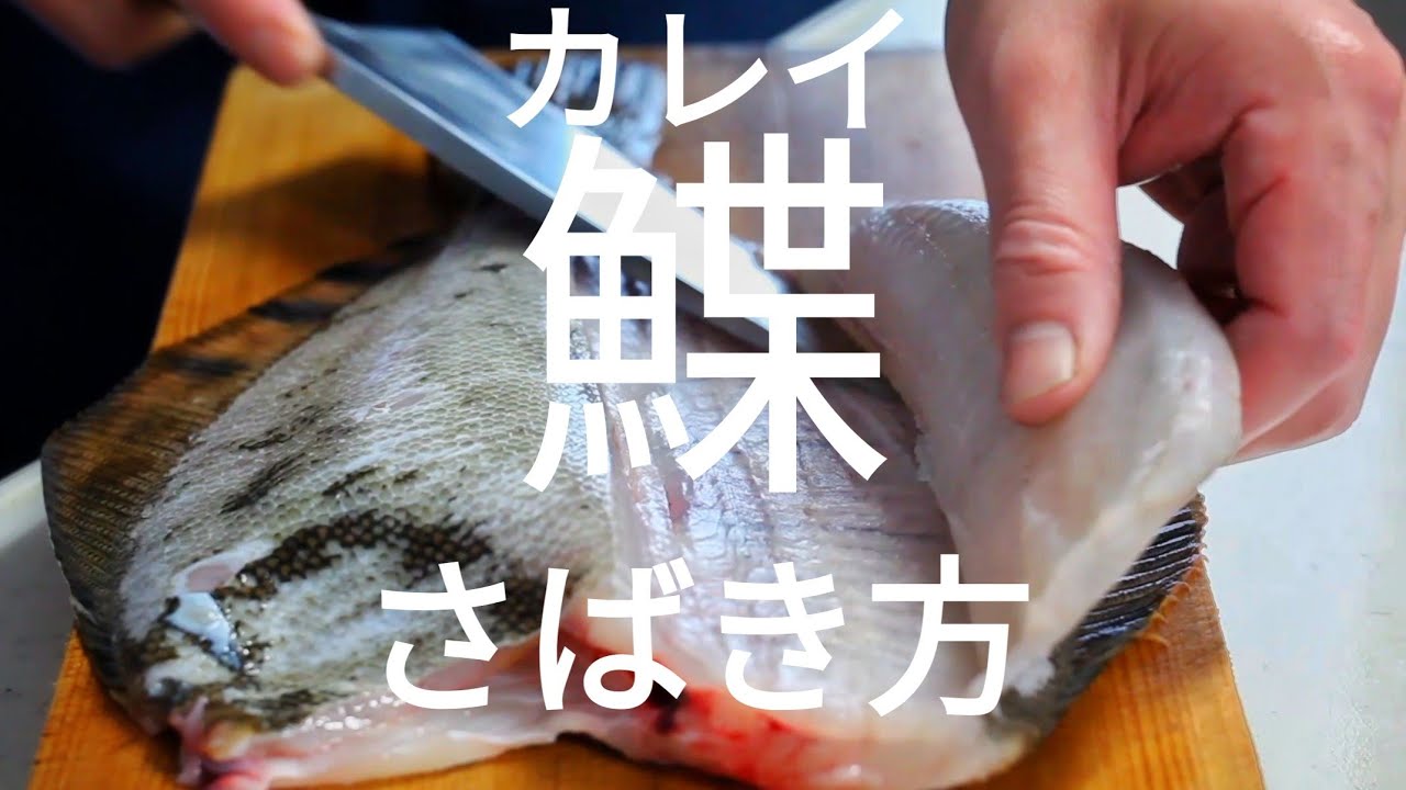 【カレイのさばき方】五枚おろし・刺身の作り方・すき引きを解説 - YouTube