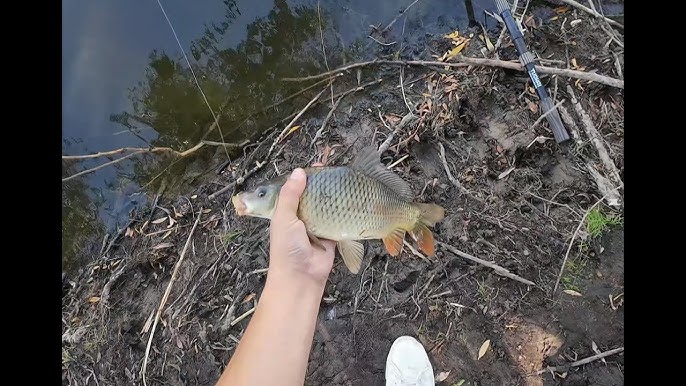 Кішкентай бейнелермен жыныстық қатынас Екі орыс бір қызды биікте жібітеді