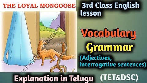 3rd Class English || THE LOYAL MONGOOSE || English grammar for TET &DSC || Learn with Sreeram