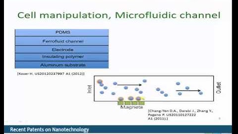 Magnatic Nanoparticles and Thin Films in Cell Manipulation by Dr. Roozbeh Abedini-Nassab