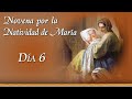 NOVENA POR LA NATIVIDAD DE LA VIRGEN MARÍA 🕯 DÍA 6 🕯 | Padre Ricardo del Campo #Novena