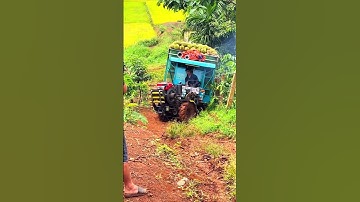 Chở Tấn Sầu Riêng Bằng Xe Công Nông Leo Dốc #shorts #côngnông #congnong #automobile #farming #máycày