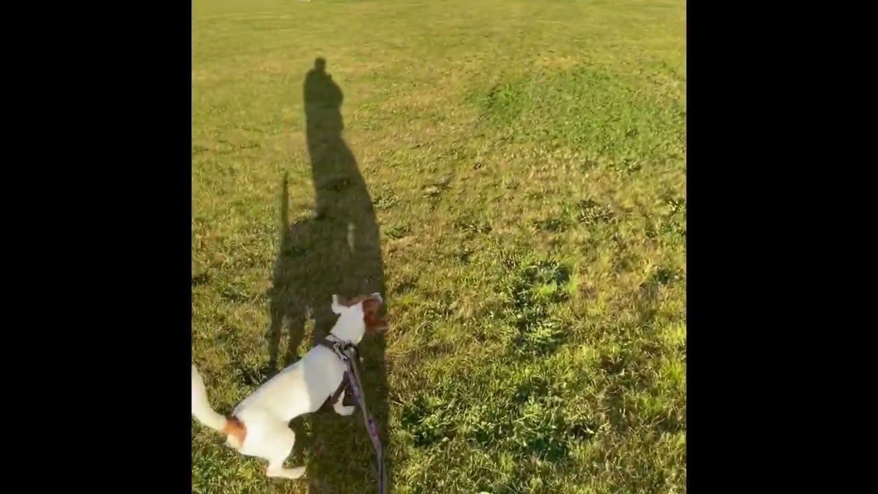 Day 1 | Our first walk