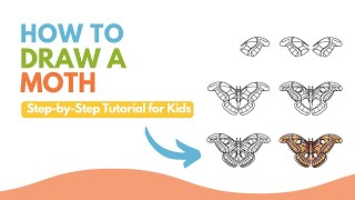 How to Draw a Moth – Beautiful Insect Drawing Guide for Beginners screenshot 5