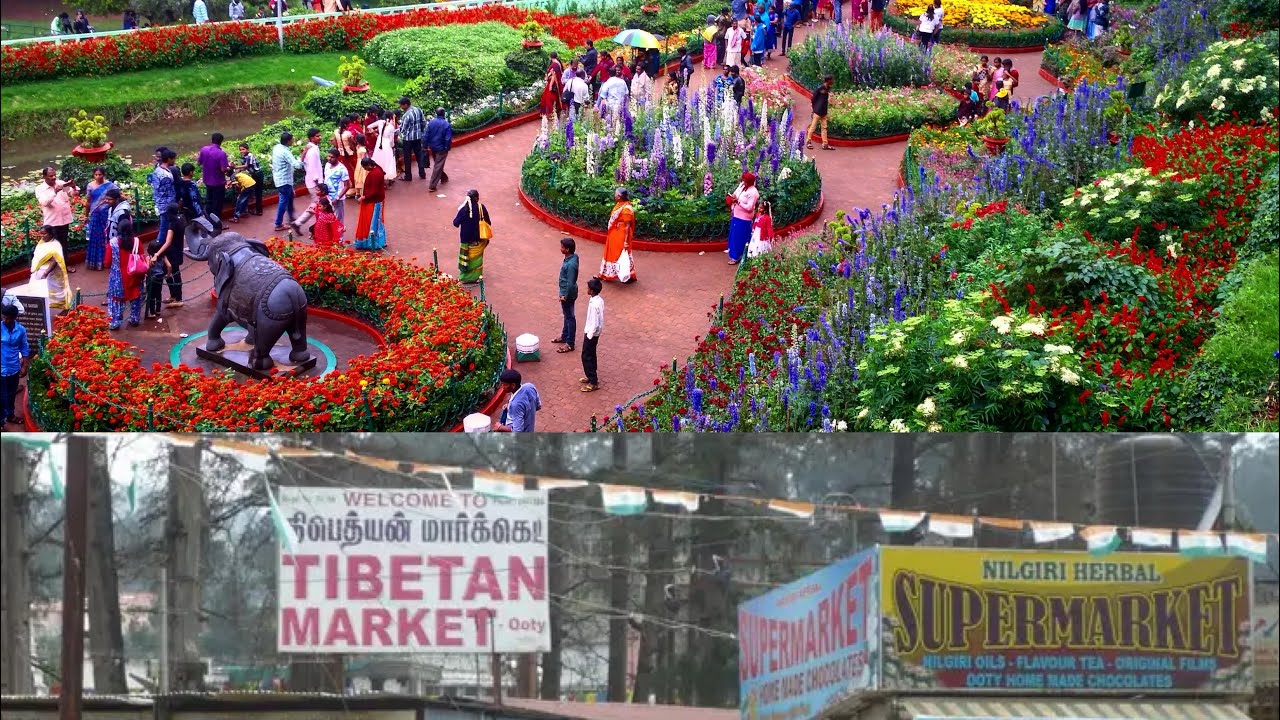 BOTANICAL GARDEN & TIBETIAN MARKET 