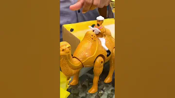 Camel Reciting Labbaik Shorts Viral Shortsfeed Trending Islamic Ytshorts Short 