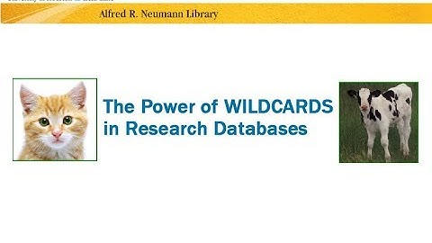 The Power of Wildcards in Research Databases