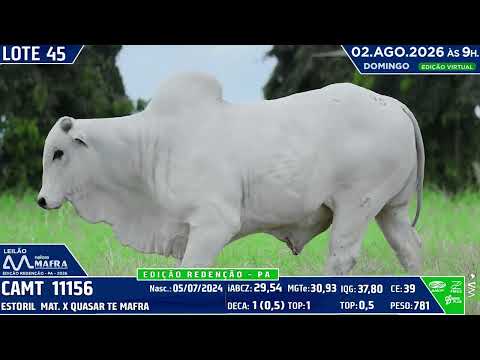 LOTE 45