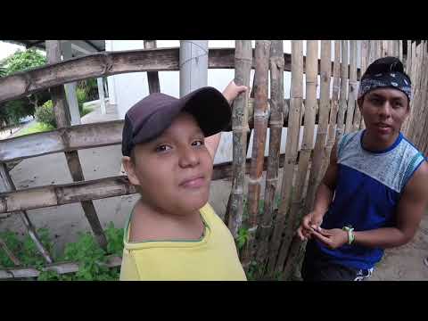 GSE HARBOR ECUADOR 2018