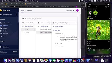 Instagram Using Firebase With SwiftUI - Part 4 - Instagram With SwiftUI - Instagram Design SwiftUI