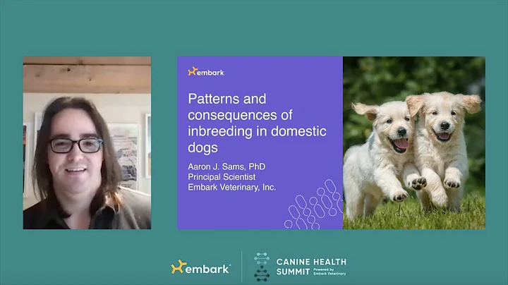 What are the Consequences of Inbreeding Dogs? Dr. Aaron J. Sams, Embark Senior Scientist - DayDayNews