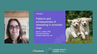 What are the Consequences of Inbreeding Dogs? Dr. Aaron J. Sams, Embark Senior Scientist