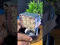 Homemade AC Cooler ! 🚀 | घर पर बनाओ सबसे सस्ती AC Cooler #diy #shorts #new #yt