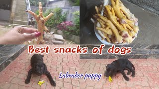 Best snacks for puppy Prepare chicken leg for my shadow  Labrador puppy #labrador #labradorpuppy