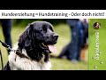 Ist Hundeerziehung = Hundetraining ? ➡️ Oder doch nicht? ➡️ Erklärvideo ✔️