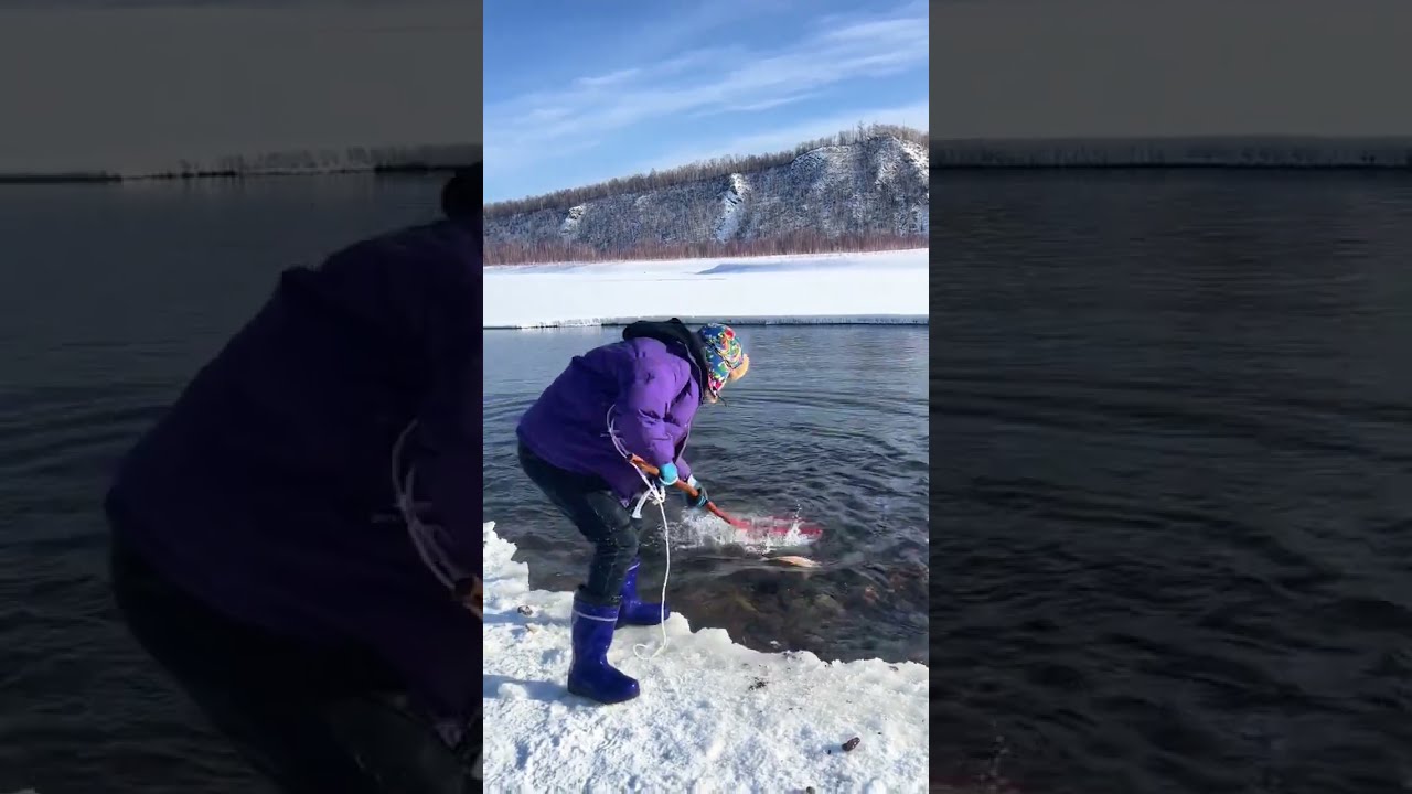 Fishing In Mohe Northeast The Joy Of Outdoor Wild Experience 325