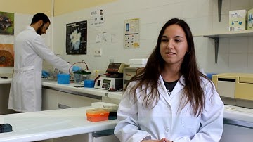 mutational signatures in cancer