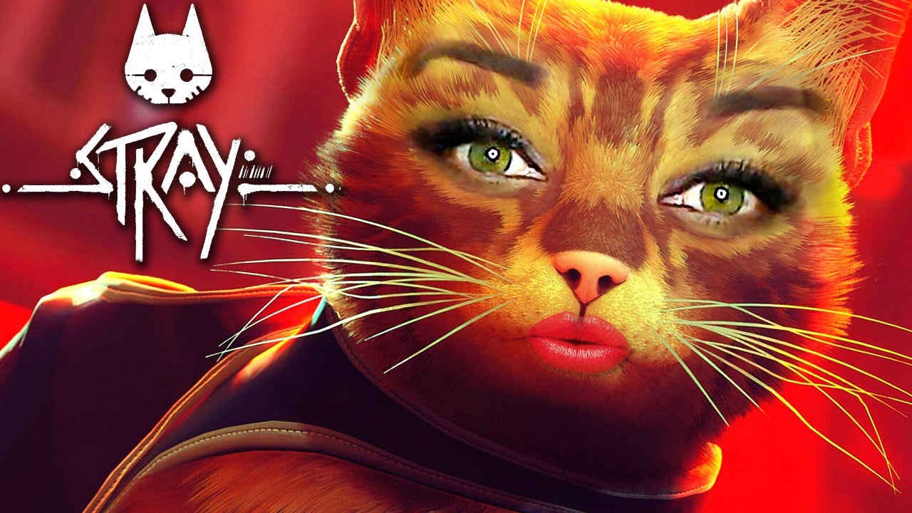 Stray: Ter gato fofo como protagonista esconde mediocridade do jogo em  gameplay - Millenium