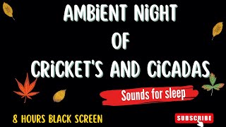 Ambient Sounds of Cricket's and Cicadas at Night  8 Hours Black Screen for Sleep