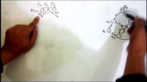 Petri Net: Coverability Graph #2