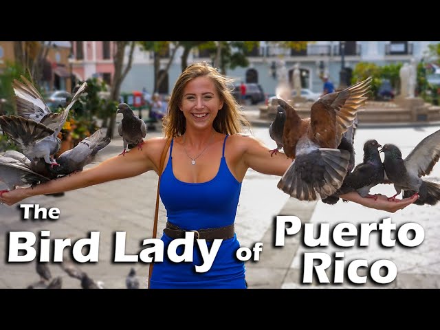 The Bird Lady of Puerto Rico – S5:E43