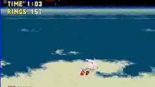 Sonic 3C  Prototype 0517 - Doomsday Zone Net Worth