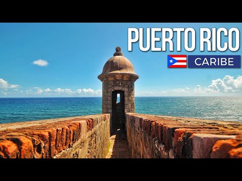 Video: Excursiones increíbles en Puerto Rico